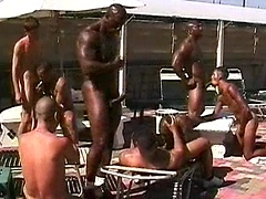 Bad Boy, Bobby Blake and Damian Diaz - black guys rocks. Posted by: Thug Orgy