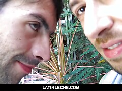Two Hotel Strangers Agree to Fuck on Cam for Cash. Posted by: Latin Leche