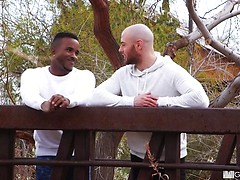 Blowing Kisses. Posted by: Man Royale