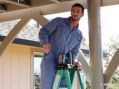 Phenix Saint & Brenner Bolton. Posted by: Next Door World