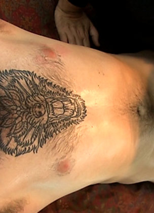 CAUSA 673 Finch - 2 of 2